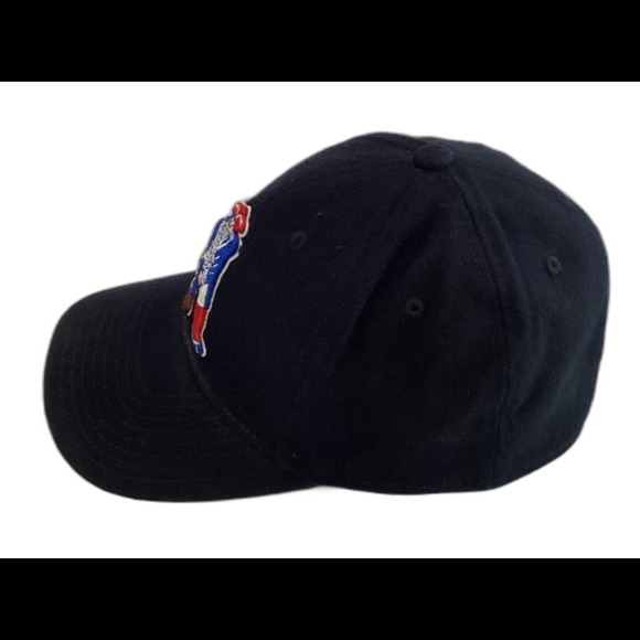 NFL Reebok Cap Hat Unisex Fitted Color Black New England Patriots Gridiron - Picture 2 of 6